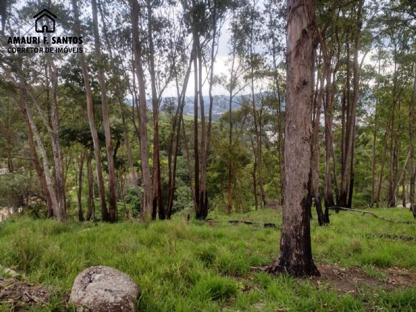 Terreno em , São Roque - 4.800m²  a 800metros do centro da cidade - Foto 1